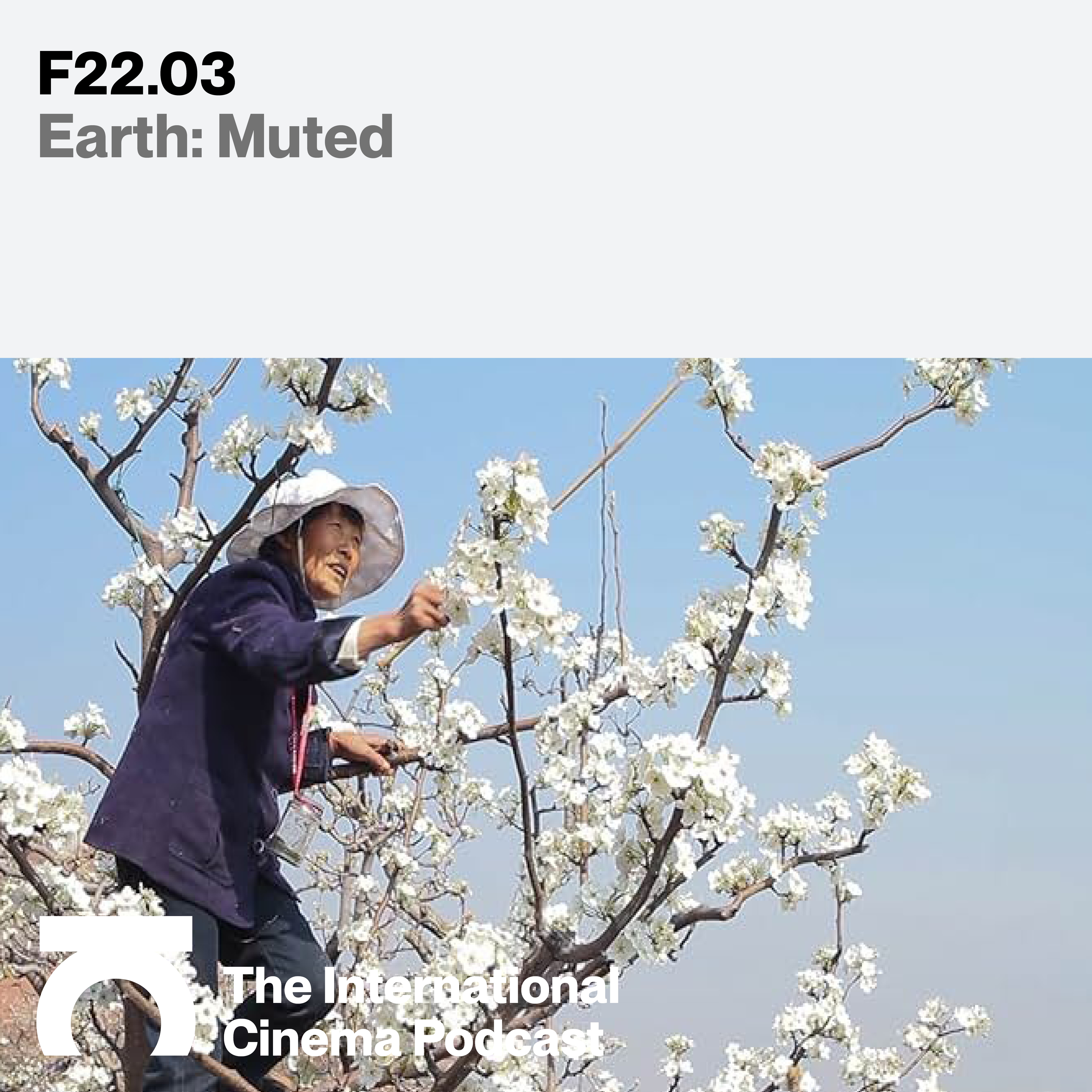 INTERNATIONAL CINEMA — F22.03 – Earth: Muted