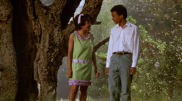 Film still from The Learning Tree (1969). Image of a boy and girl talking and smiling as they stand under a tree.